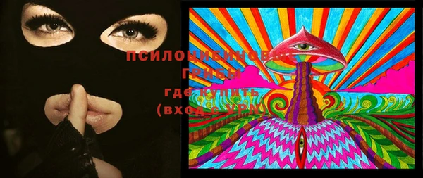 герыч Шадринск