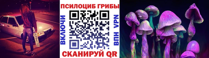 Купить  Адыгейск  Псилоцибиновые грибы мухоморы 